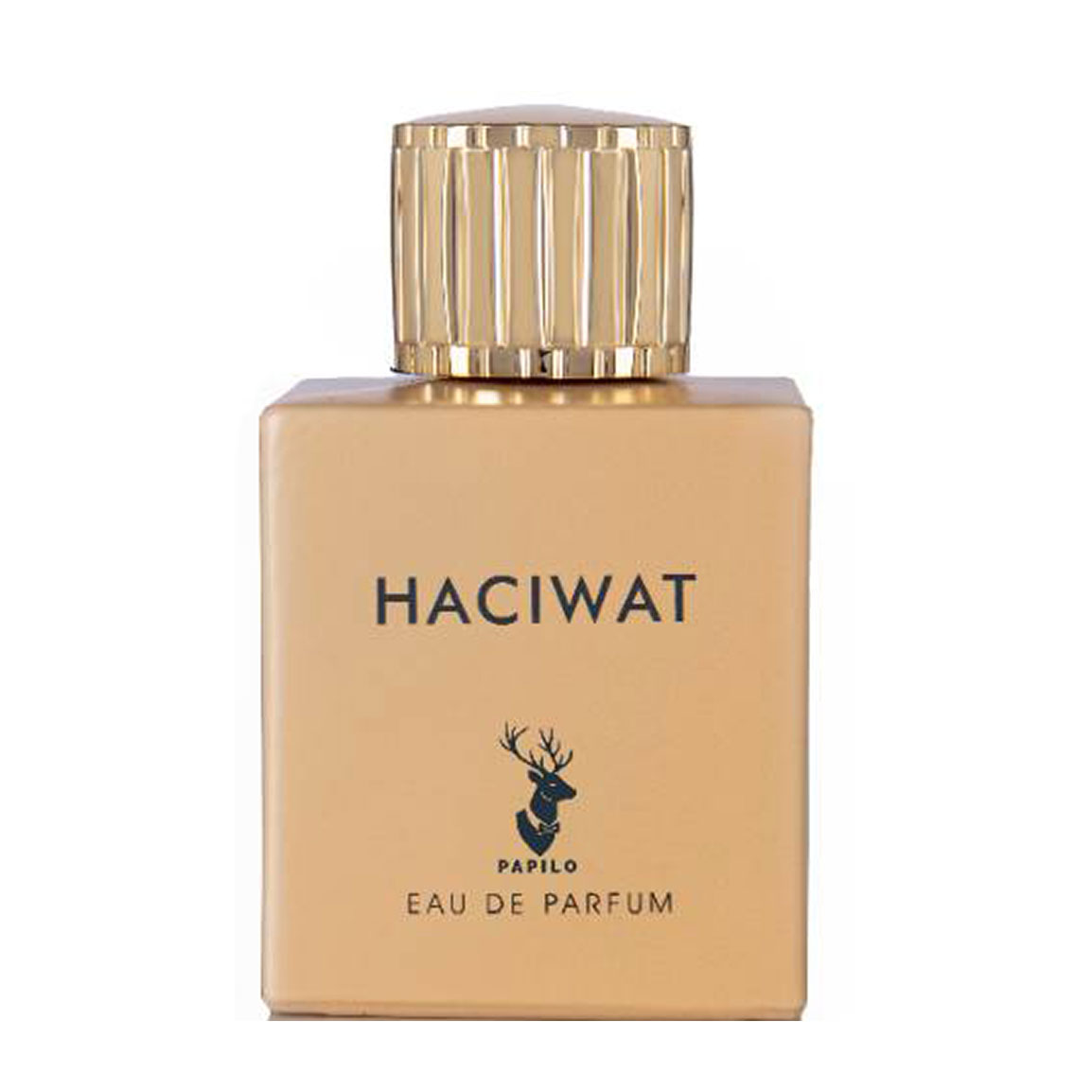 ادوپرفیوم مردانه مدل Haciwat حجم 100 میلی لیتر